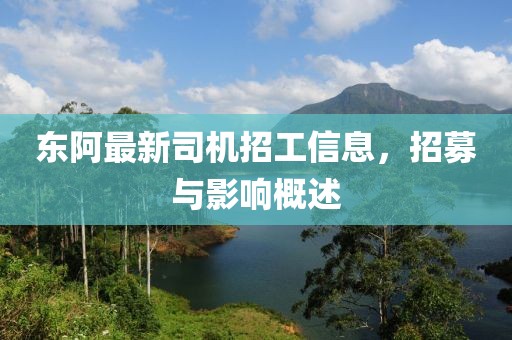 东阿最新司机招工信息，招募与影响概述