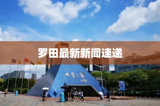 罗田最新新闻速递
