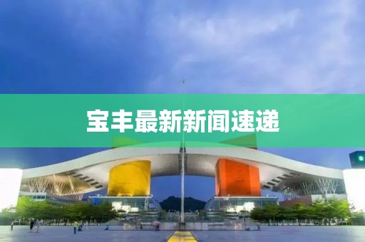 宝丰最新新闻速递