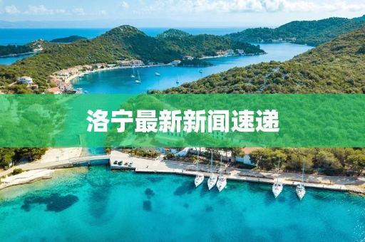 花开无言 第27页