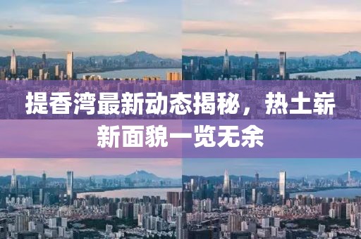 提香湾最新动态揭秘，热土崭新面貌一览无余
