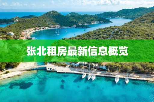 窒息梦 第28页