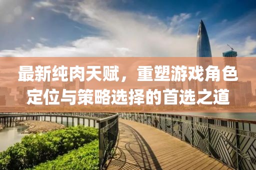 最新纯肉天赋，重塑游戏角色定位与策略选择的首选之道