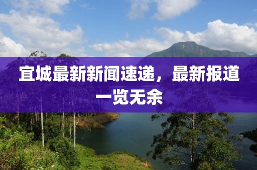 宜城最新新闻速递，最新报道一览无余