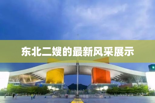 东北二嫂的最新风采展示