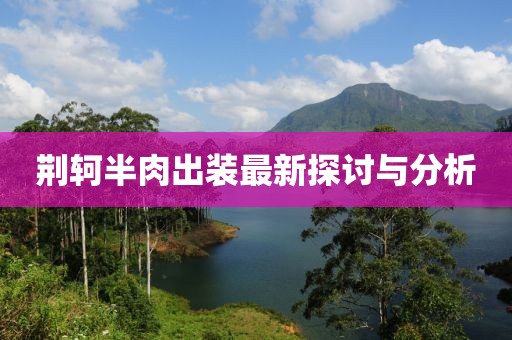 荆轲半肉出装最新探讨与分析
