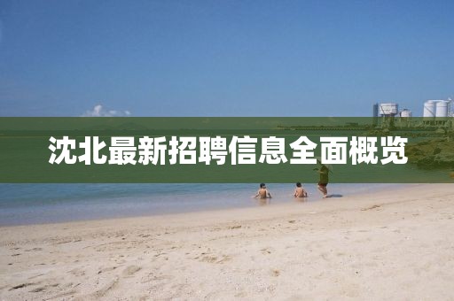 沈北最新招聘信息全面概览