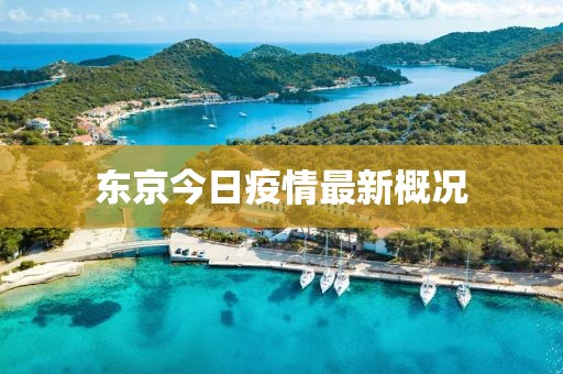 东京今日疫情最新概况