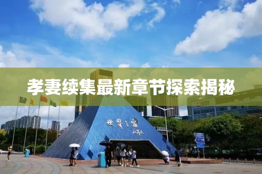 孝妻续集最新章节探索揭秘