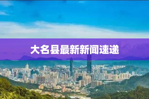 大名县最新新闻速递