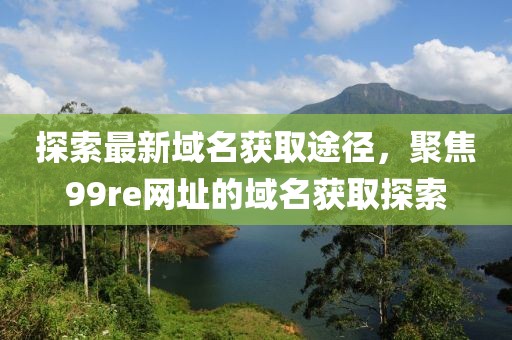 探索最新域名获取途径，聚焦99re网址的域名获取探索