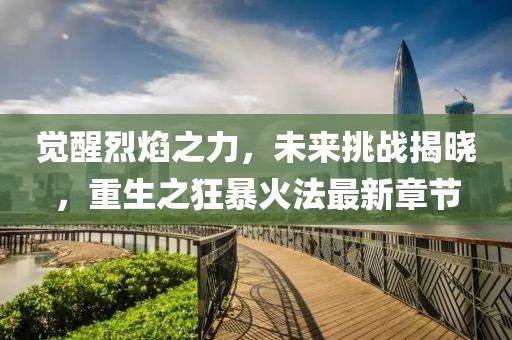萌面人 第19页