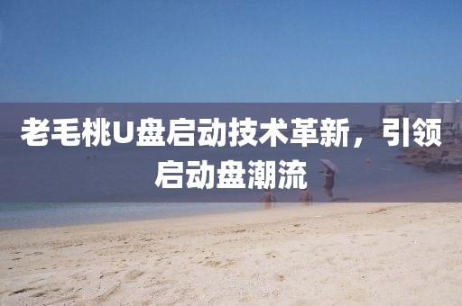 老毛桃U盘启动技术革新，引领启动盘潮流