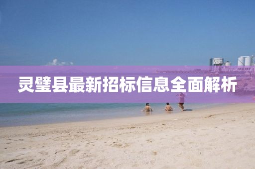 灵璧县最新招标信息全面解析