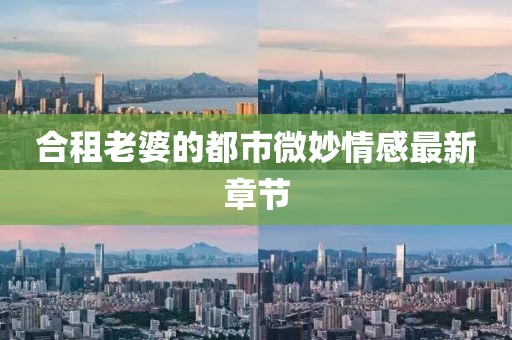 合租老婆的都市微妙情感最新章节