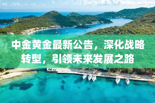 中金黄金最新公告，深化战略转型，引领未来发展之路