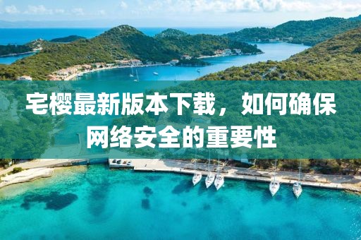 宅樱最新版本下载，如何确保网络安全的重要性