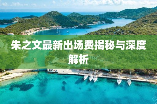 朱之文最新出场费揭秘与深度解析
