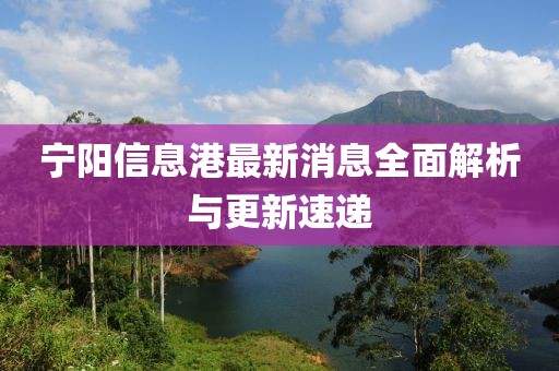 宁阳信息港最新消息全面解析与更新速递