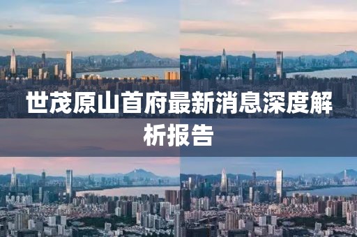 世茂原山首府最新消息深度解析报告