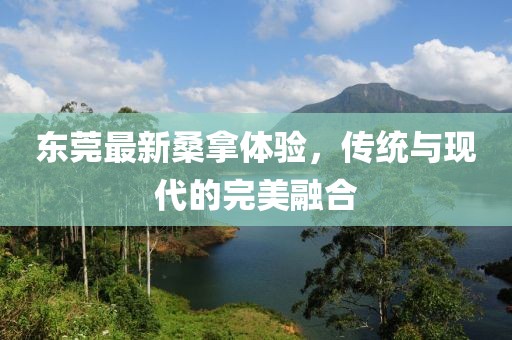 东莞最新桑拿体验，传统与现代的完美融合