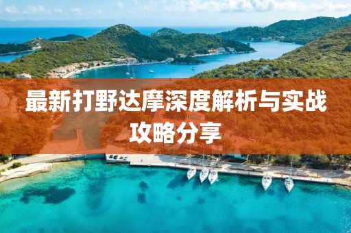最新打野达摩深度解析与实战攻略分享