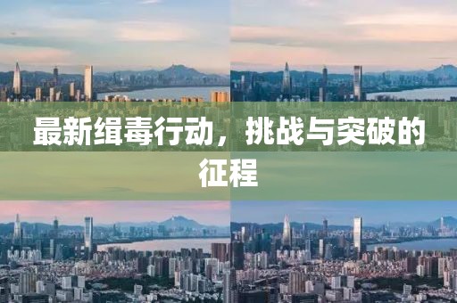 最新缉毒行动，挑战与突破的征程