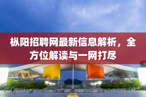 枞阳招聘网最新信息解析，全方位解读与一网打尽