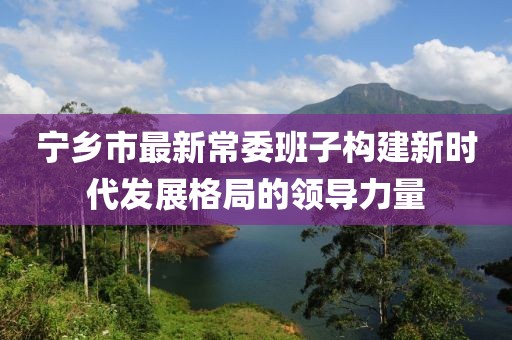 宁乡市最新常委班子构建新时代发展格局的领导力量
