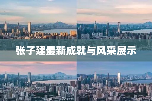 张子建最新成就与风采展示
