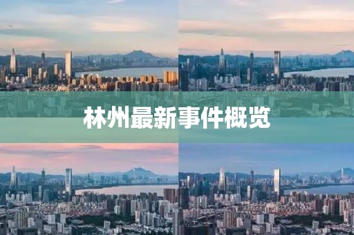 林州最新事件概览