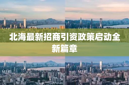 北海最新招商引资政策启动全新篇章