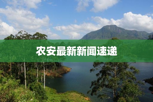 农安最新新闻速递