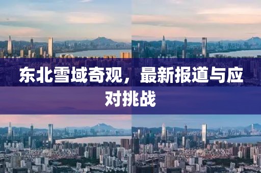 东北雪域奇观，最新报道与应对挑战