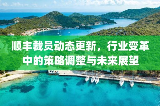 顺丰裁员动态更新，行业变革中的策略调整与未来展望