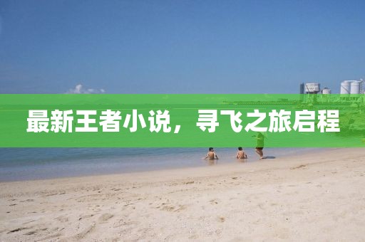 最新王者小说，寻飞之旅启程