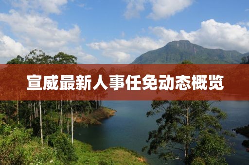 宣威最新人事任免动态概览
