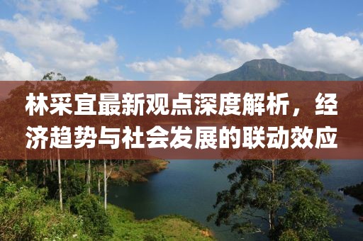 林采宜最新观点深度解析，经济趋势与社会发展的联动效应