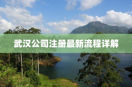 武汉公司注册最新流程详解