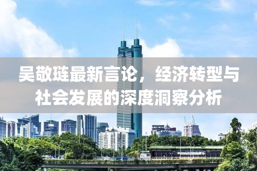 吴敬琏最新言论，经济转型与社会发展的深度洞察分析