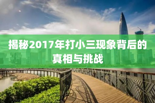 揭秘2017年打小三现象背后的真相与挑战