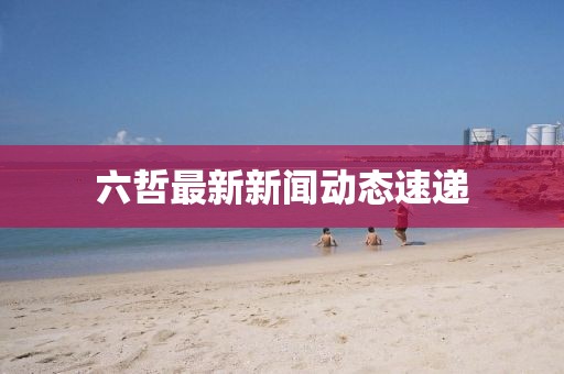 六哲最新新闻动态速递