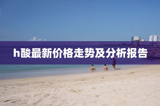 h酸最新价格走势及分析报告