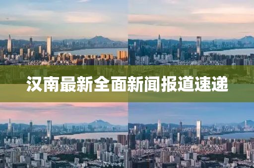 汉南最新全面新闻报道速递