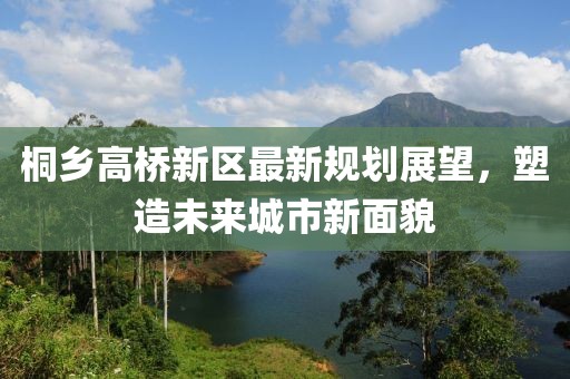 桐乡高桥新区最新规划展望，塑造未来城市新面貌