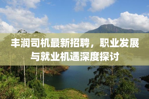 丰润司机最新招聘，职业发展与就业机遇深度探讨