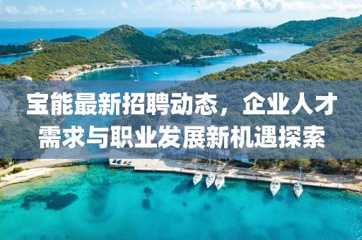 宝能最新招聘动态，企业人才需求与职业发展新机遇探索