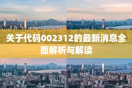 关于代码002312的最新消息全面解析与解读