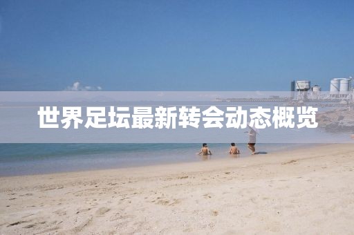世界足坛最新转会动态概览