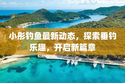 小彤钓鱼最新动态，探索垂钓乐趣，开启新篇章